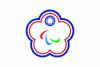 Chinese Taipei Flag